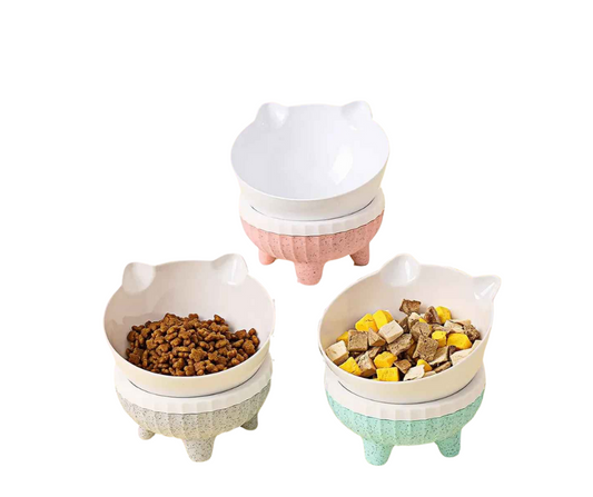 Comedero para gatos - Cuencos Con Soporte Elevado